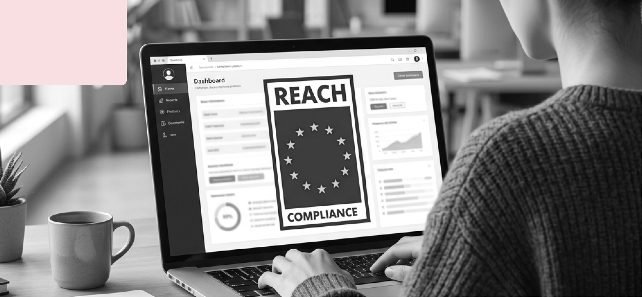 Nueva restricción en el Anexo XVII del REACH: Entrada 83 del 2,4-dinitrotolueno (2,4-DNT)