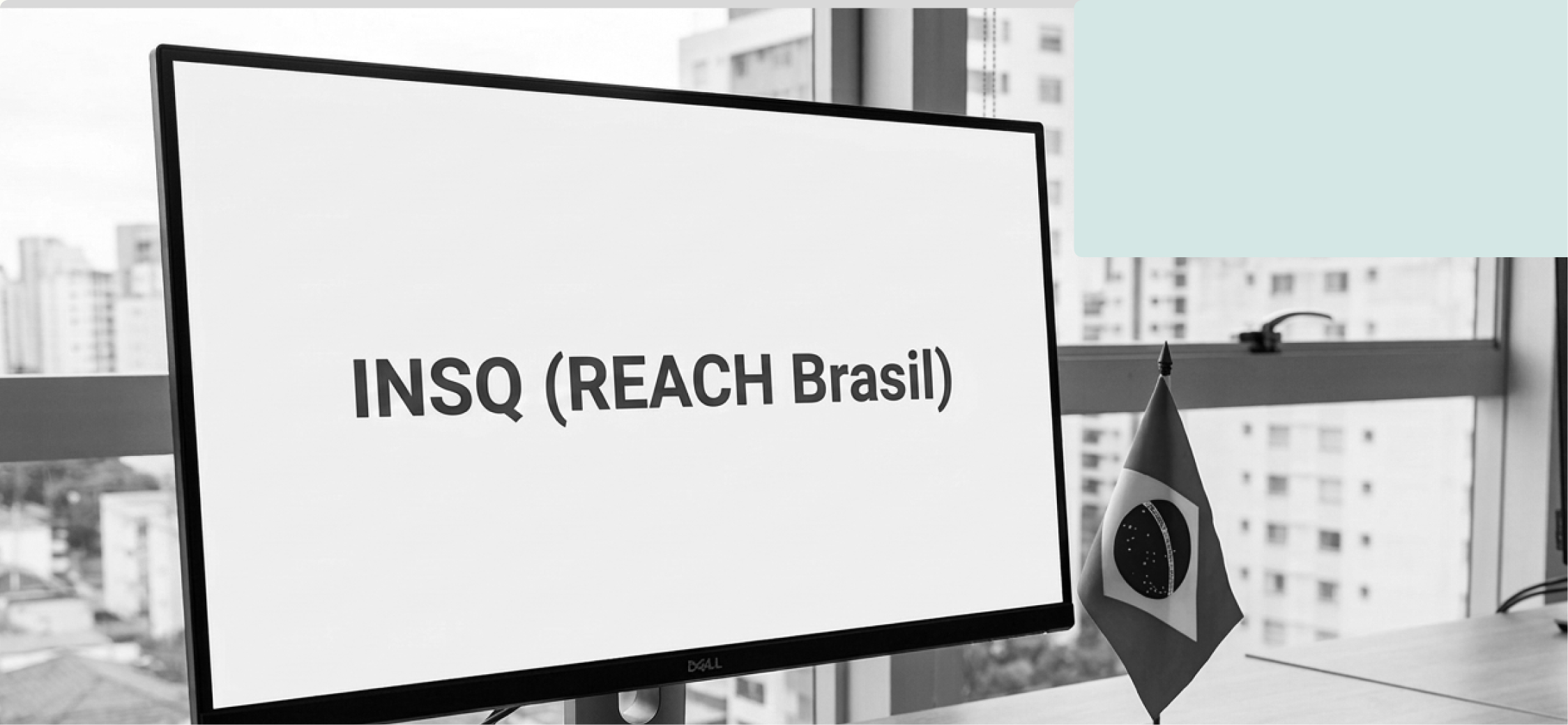 INSQ (REACH Brasil): fiscalización y penalidades